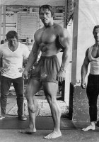 /album/sergiobreton96/arnold-schwarzenegger-jpg/