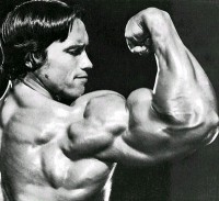 /album/sergiobreton96/biceps-arnold-schwarzenegger-jpg/
